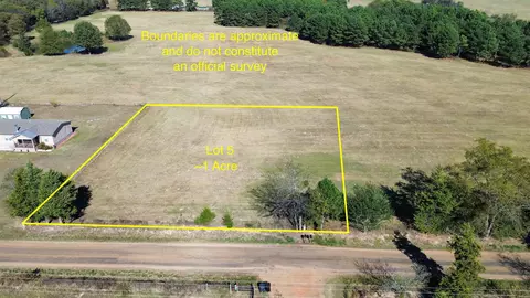 tbd Lot 5 County Road 3165, Mount Pleasant, TX 75455
