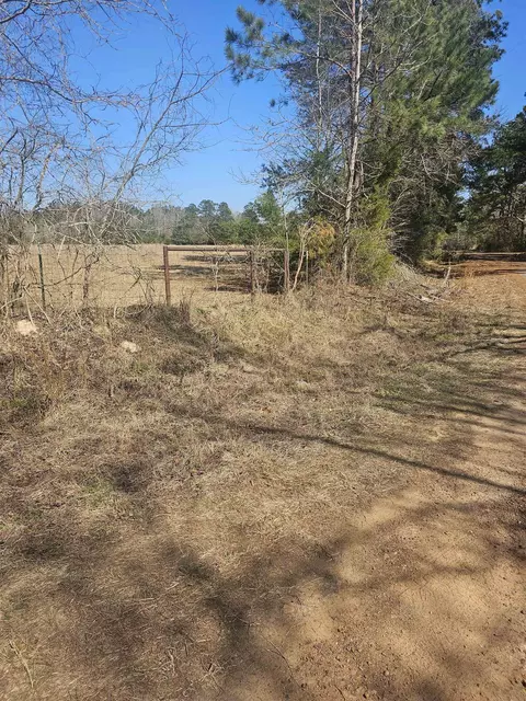 Pr 1817, Gary, TX 75643 photo 2