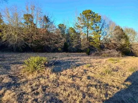 lot2 Fm 2208, Harleton, TX 75651 photo 2