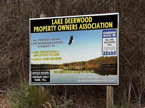 tbd Dogwood Tr, Harleton, TX 75651 photo 4