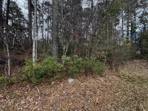 tbd Dogwood Tr, Harleton, TX 75651 photo 2