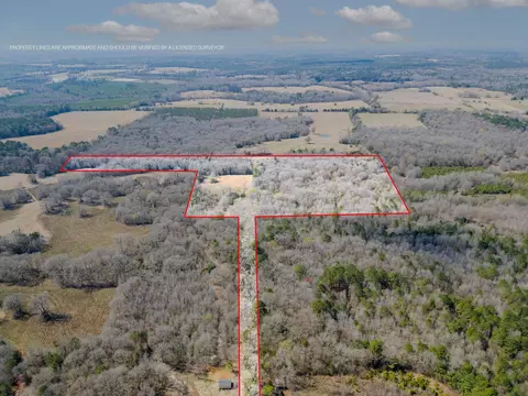 Stevens Dr, Marietta, TX 75566