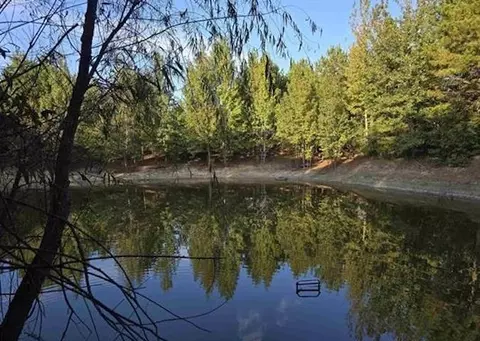 tbd Cr 2864off Rd, Hughes Springs, TX 75656