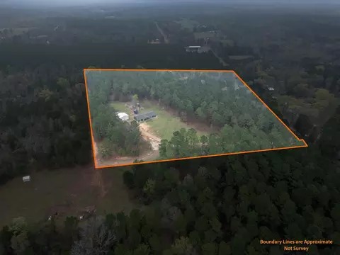 View/Area - 298 Coppedge Smith Rd, Harleton, TX 75651 photo 1 of 5