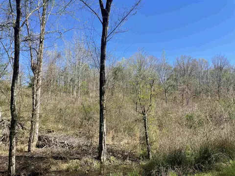 tbd Cr 3223, Mount Enterprise, TX 75681