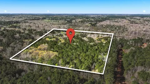 4997 Hwy 49, Avinger, TX 75630
