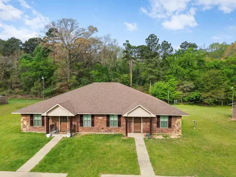 1642 Deanna St, New Diana, TX 75640