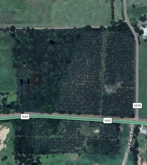 tbd Fm 1643, Winnsboro, TX 75494