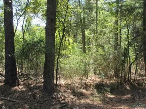 tbd Graystone Rd, Longview, TX 75604 photo 2