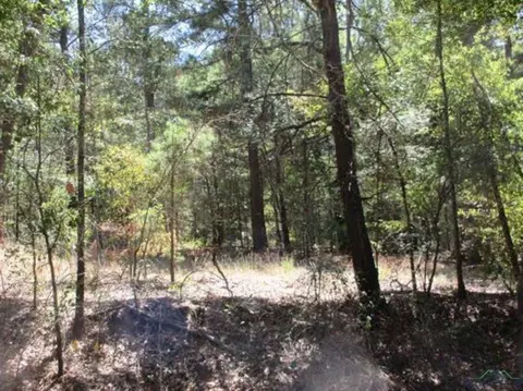 tbd Graystone Rd, Longview, TX 75604 photo 3