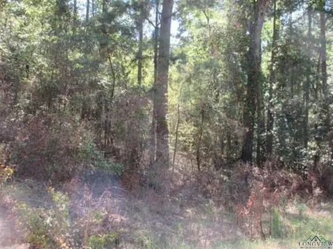 tbd Graystone Rd, Longview, TX 75604 photo 4