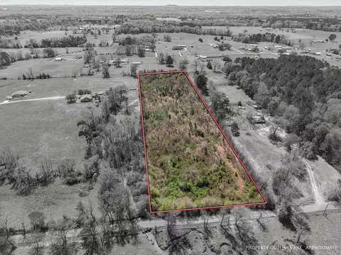 1646 Cougar Rd, Gilmer, TX 75644
