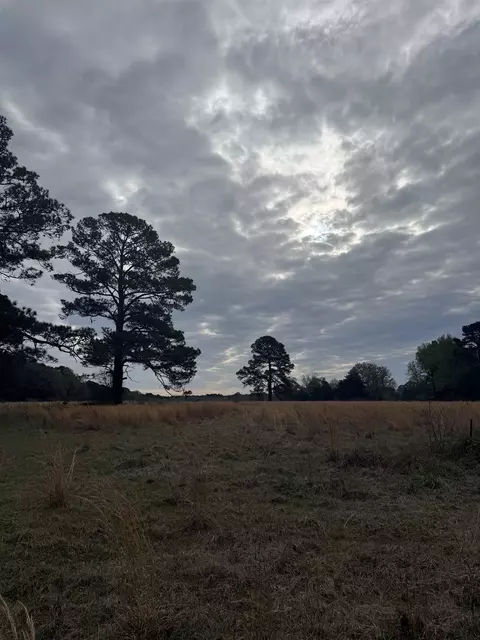 235 Cr 3261, De Berry, TX 75639