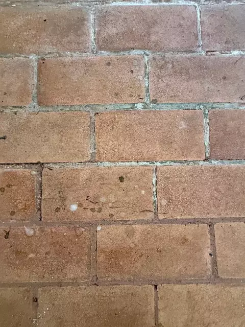 Other - 27 Covington Dr, Longview, TX 75602 photo 7 of 16