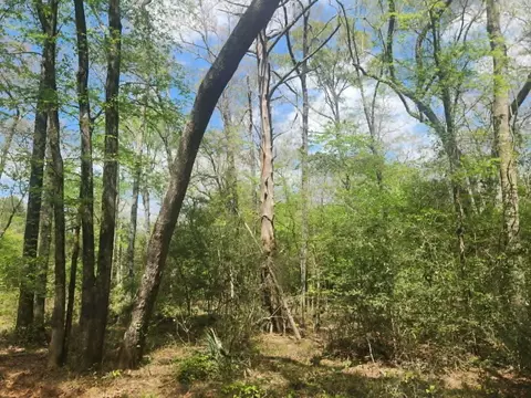 tbd Baker Bridge Rd, Marshall, TX 75672
