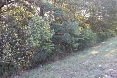 tbd E Webster St, Jefferson, TX 75657
