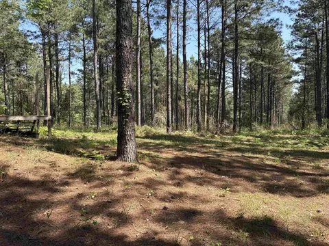 175 Mims Chapel Rd, Avinger, TX 75630