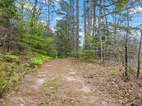 tbd County Road 2920, Hughes Springs, TX 75656