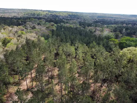 tbd Fm 138, Center, TX 75935