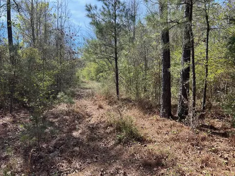 tbd Old Woodley Rd, Marshall, TX 75672