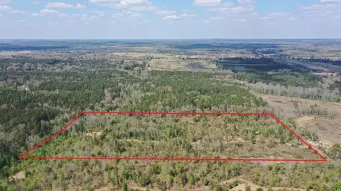 0001 County Road 1463 # N, Linden, TX 75563