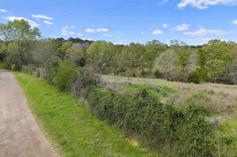 181 Cr 3222, De Berry, TX 75639