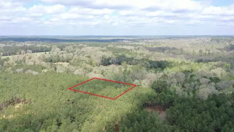 0 County Road 1926, Linden, TX 75563