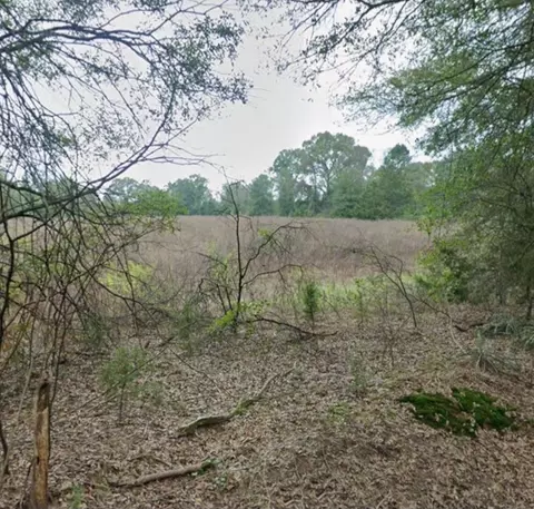 tbd Cr 3325, Pittsburg, TX 75686