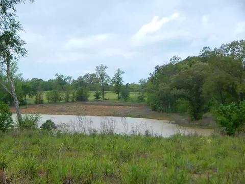 tbd Thyme Rd, Diana, TX 75640