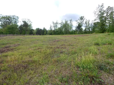 tbd Eagle Ct, Diana, TX 75640