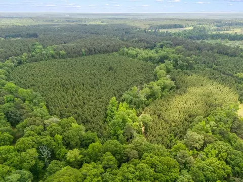 tbd Cowpen Road 6844 Acres, Karnack, TX 75661