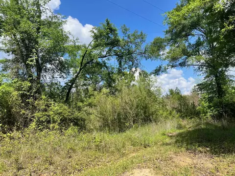 tbd County Rd 1464, Center, TX 75935