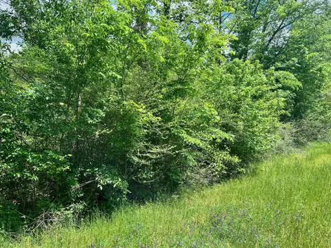 tbd N Highway 87, Center, TX 75935