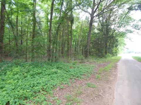 tbd 307 Acre Woodchuck Rd, Pittsburg, TX 75686