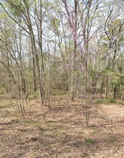 tbd Cypresswood, Gilmer, TX 75645