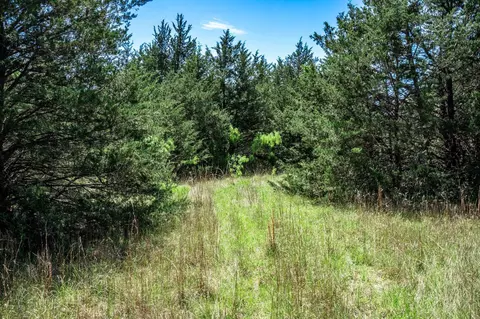 0000 County Road 308, Terrell, TX 75160 photo 25