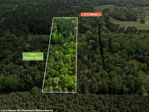 tbd Chinaberry Rd Tract 4, Gilmer, TX 75645