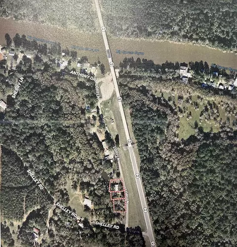 181 Lori Dr, Karnack, TX 75661 photo 4