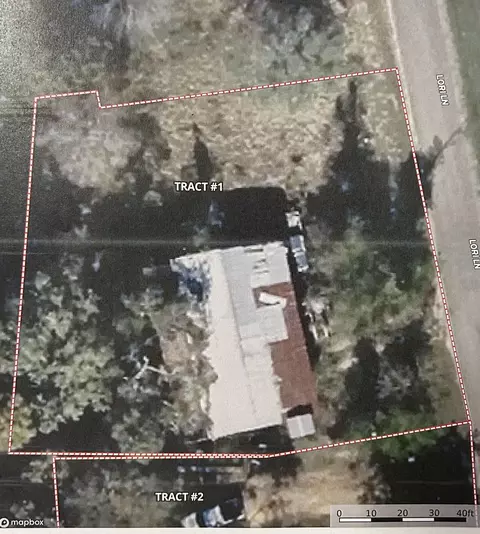 181 Lori Dr, Karnack, TX 75661 photo 2