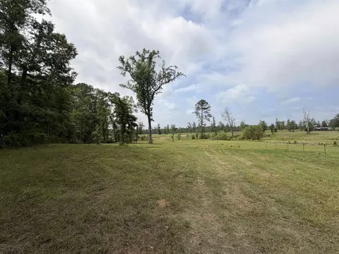 tbd State Highway 154, Diana, TX 75640