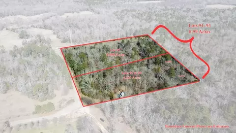 lot S 92-93 Francis Ln, Diana, TX 75640