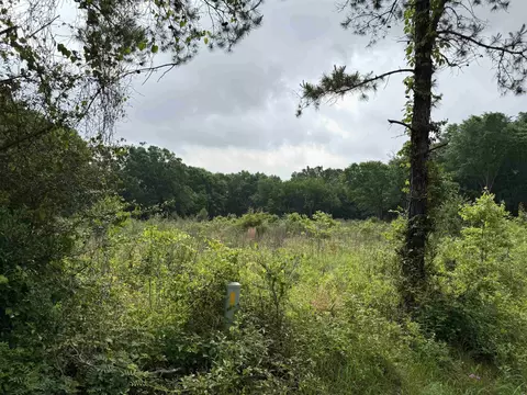 tbd Cr 401, Henderson, TX 75654