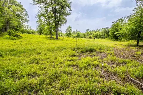 962 Cowpen Rd, Karnack, TX 75661