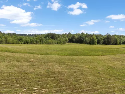 67 S Acres S Live Oak Rd, Gilmer, TX 75644