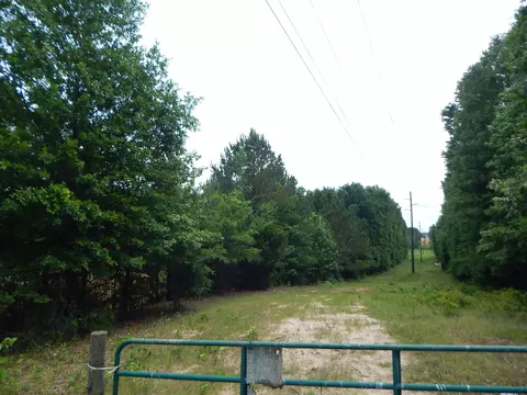 tbd 15 Acre Locust Rd, Gilmer, TX 75645
