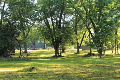 2420 E Houston, Marshall, TX 75672 photo 6