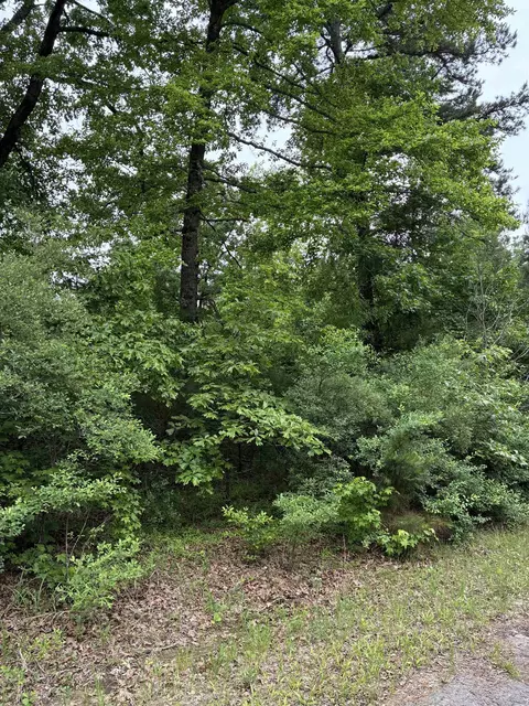tbd Lot 538 Tbd Eagle Bluff Loop #LOT 538, Avinger, TX 75630