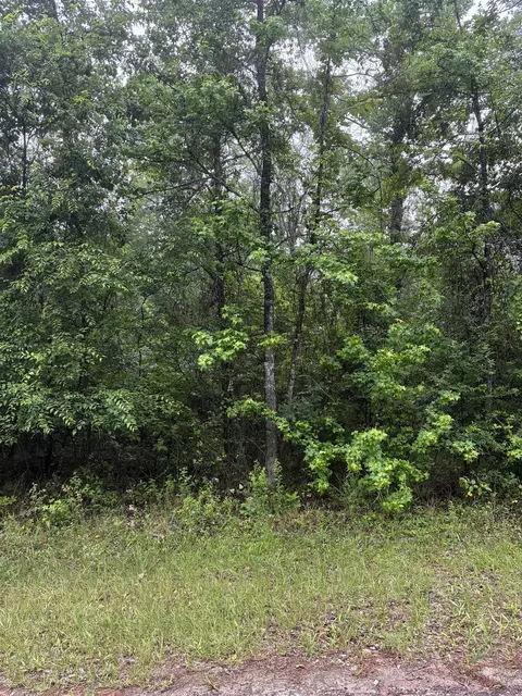 tbd Lot 561 Tbd Eagle Bluff Loop #LOT 561, Avinger, TX 75630