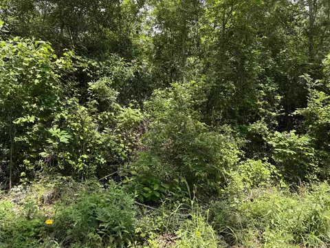 Sarber Road, Jefferson, TX 75657