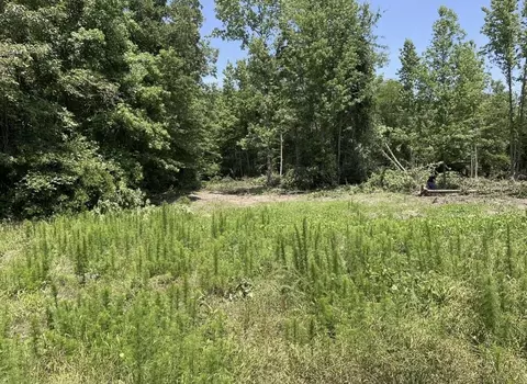 tbd Cr 3417, Jefferson, TX 75657
